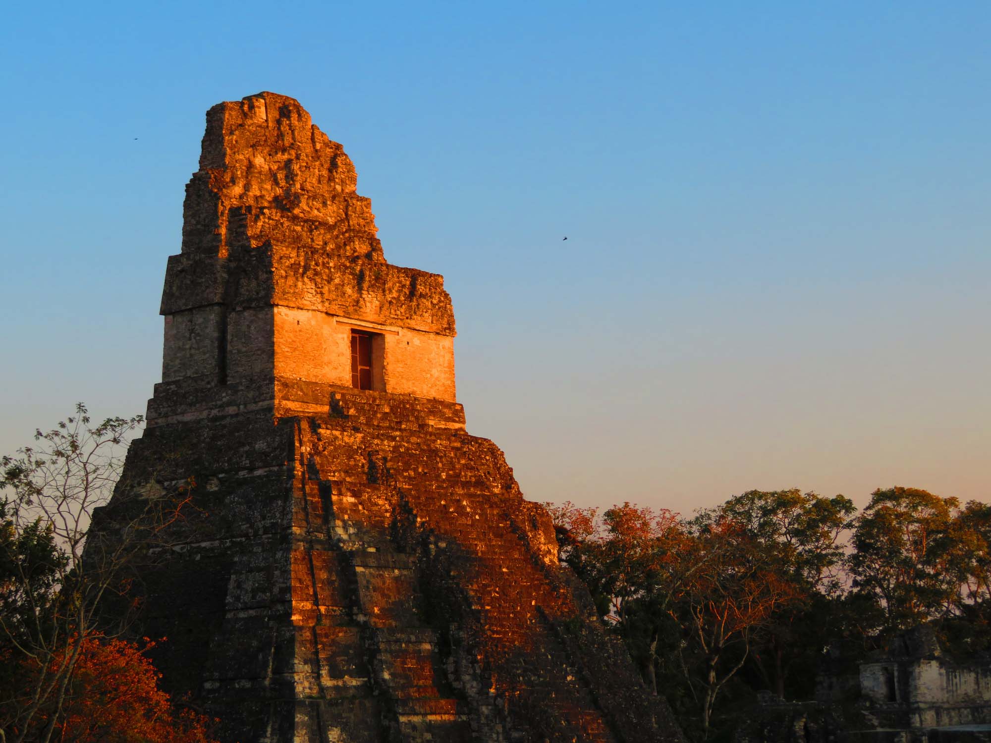 GUATEMALA <br>Extensión Tikal<br><span style="font-size:16px;">2 al 5 de marzo 2025